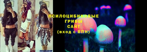 spice Медногорск
