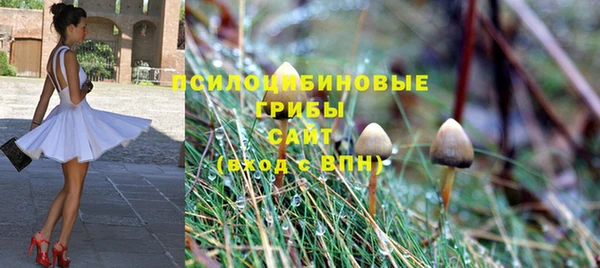 гидра Медвежьегорск