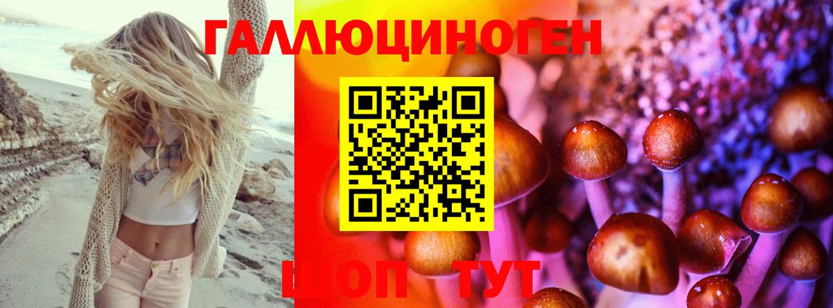 Петрозаводск  Галлюциногенные грибы MAGIC MUSHROOMS  Вход с VPN  Псилоцибиновые грибы MAGIC MUSHROOMS 